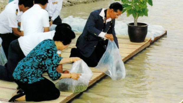 njpus24ncqkx5e1ezibjsp4xdc3qnhjebx1ss7gfyjl